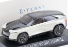 1:43 Scale Black-White NOREV Diecast DS Aero Sport Lounge Model